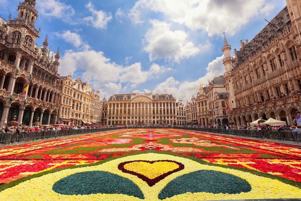 Brussels Flower Magic Carpet