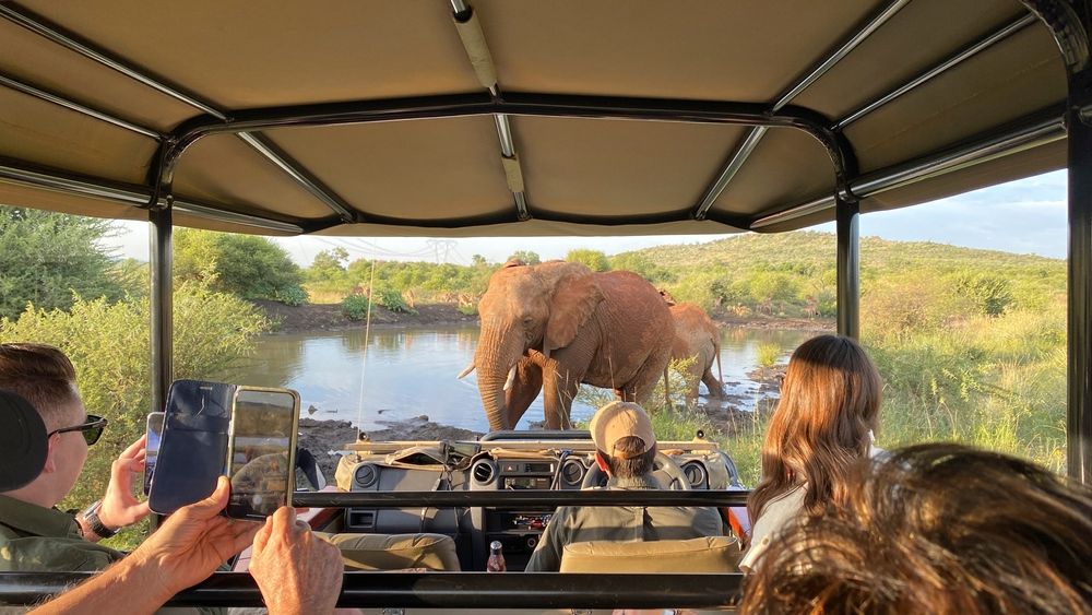 Pilanesberg National Park