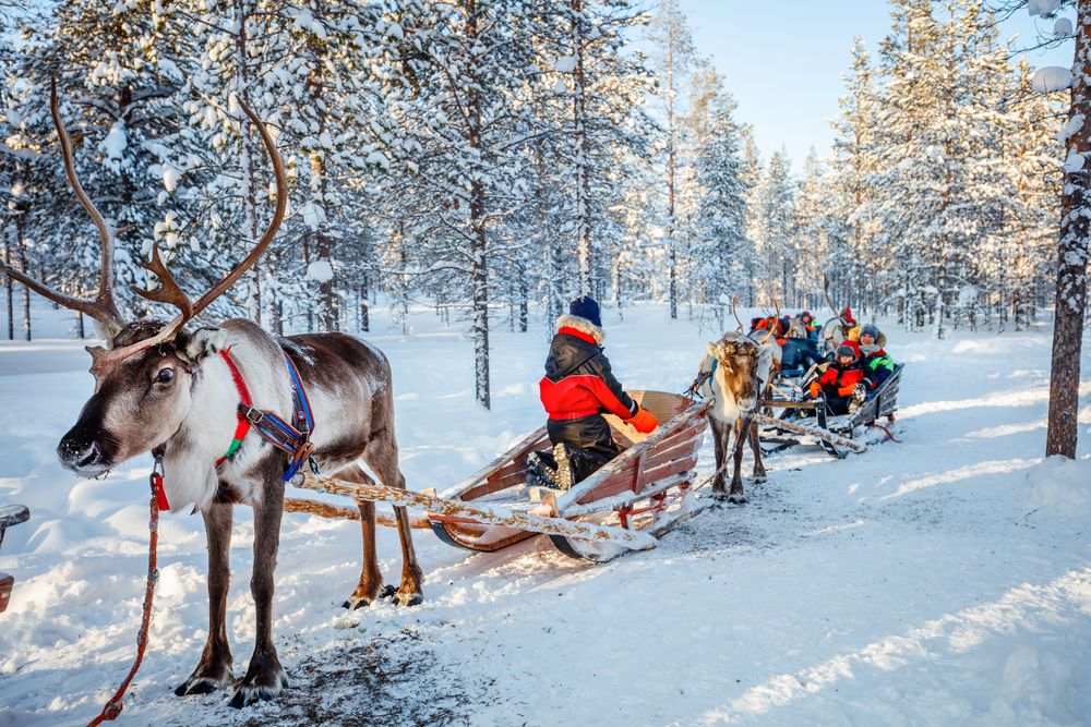 Reindeer Sledge