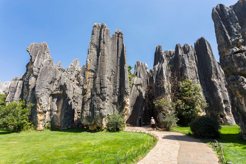 Stone Forest