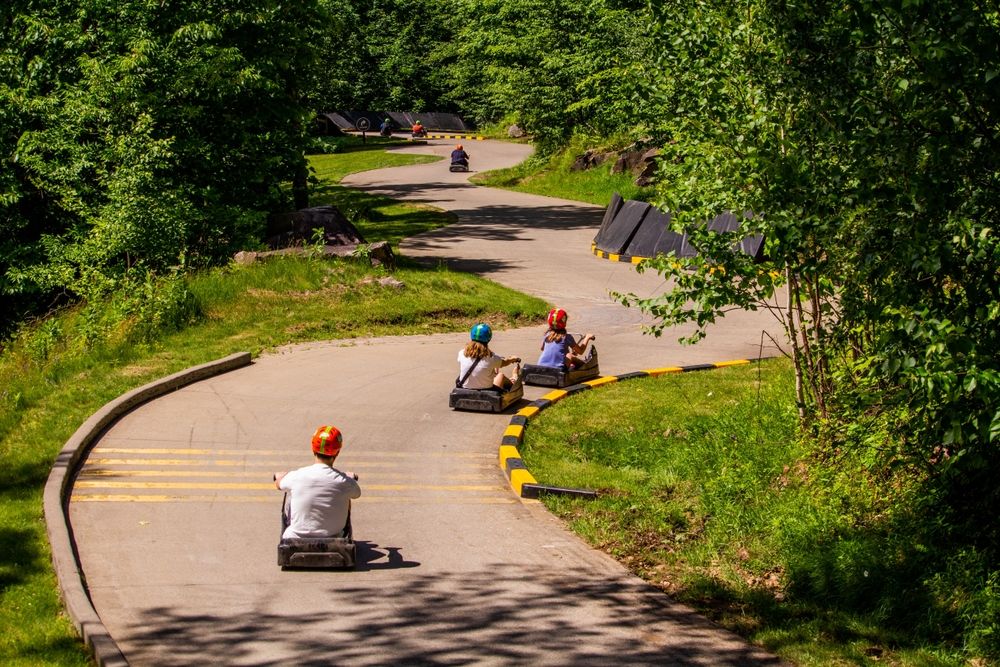 Pocheon Luge World