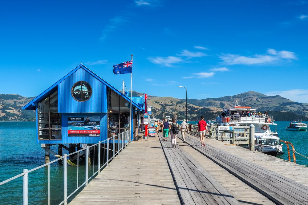 Akaroa Dolphins Cruise