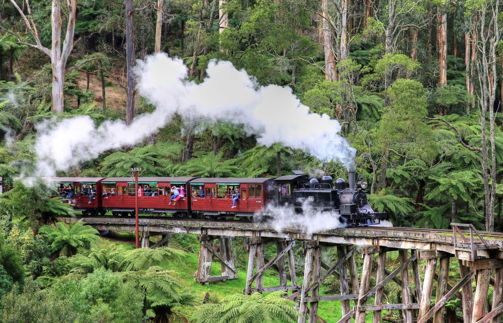 Puffing Billy Steam Train