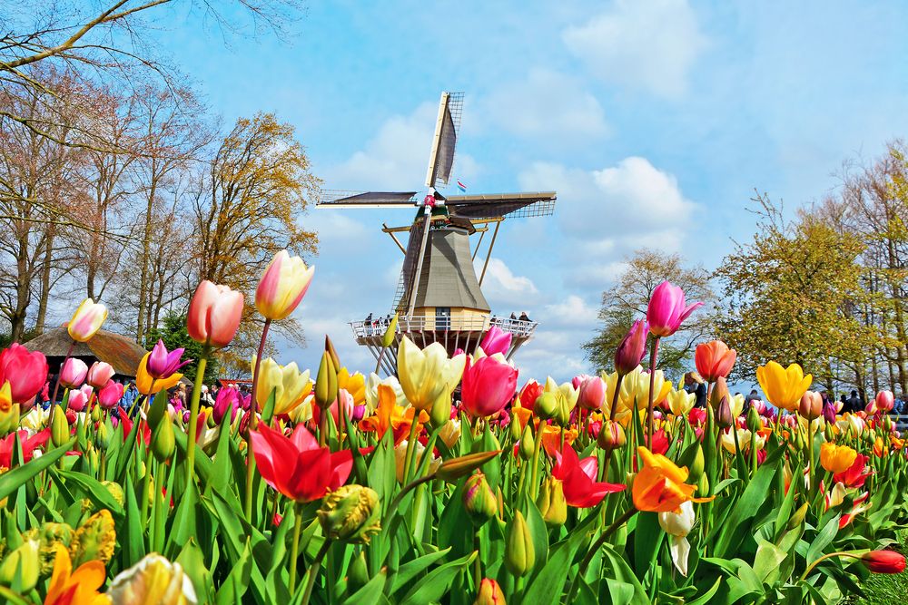 Keukenhof Park