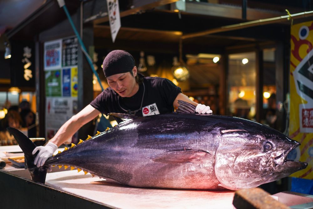 Tuna Cutting Show