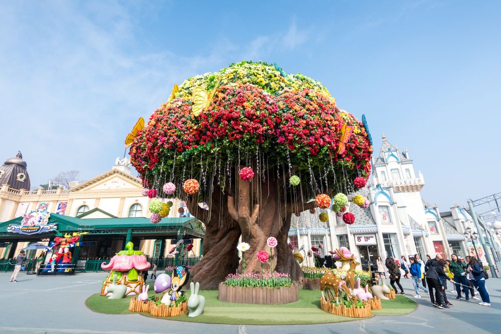 Everland Theme Park