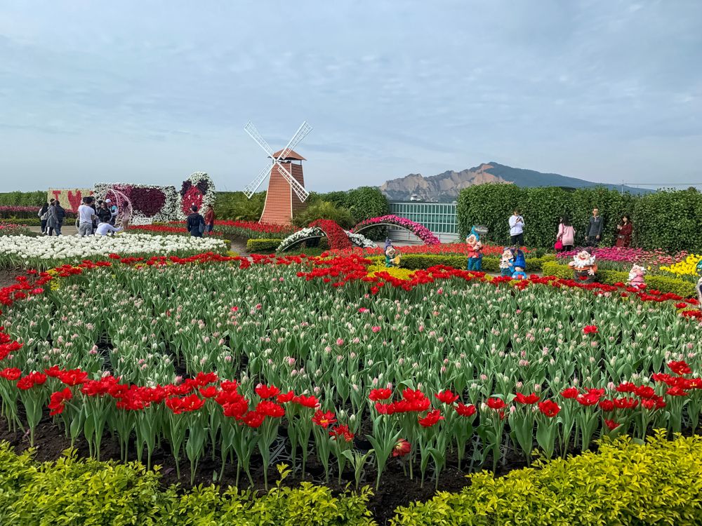 Zhongshe Flower Garden