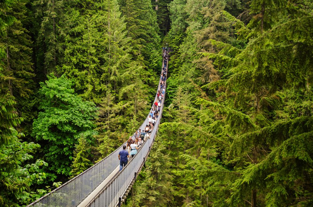 Capilano Suspension Bridge