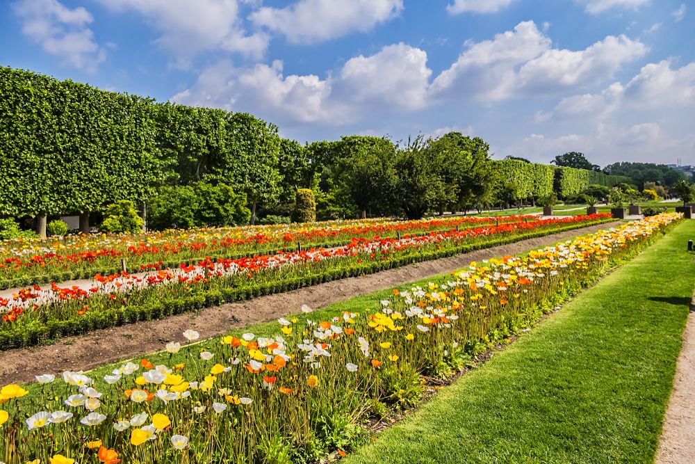 Jardin Des Plantes