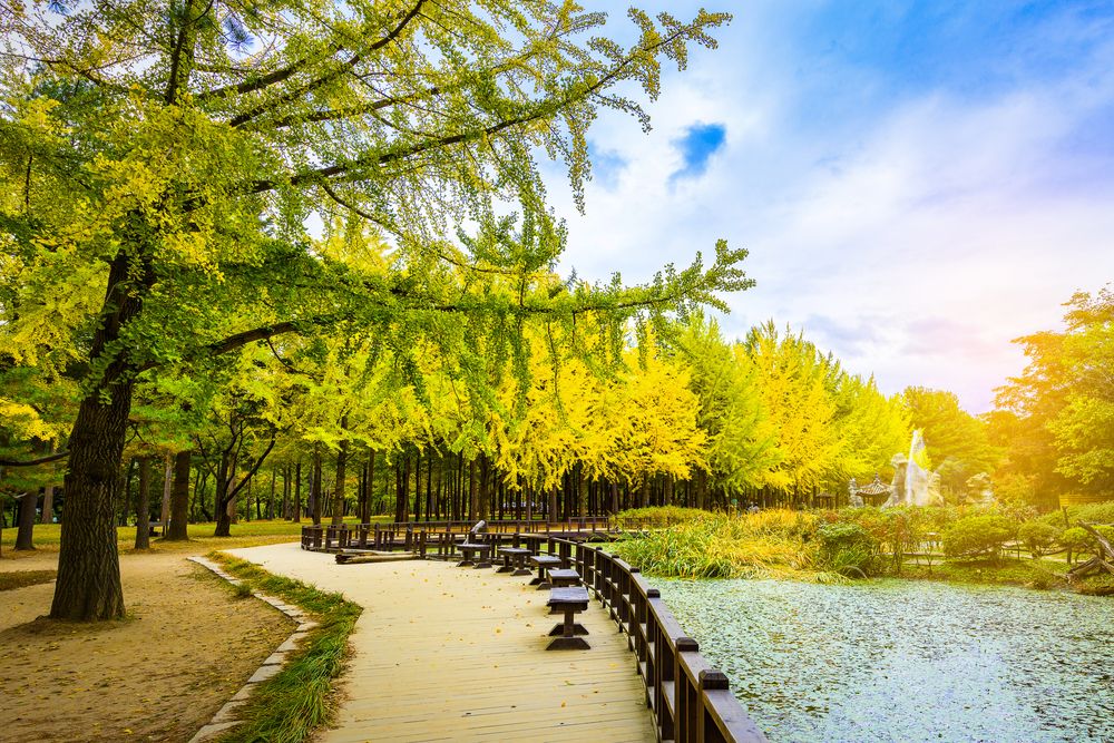 Nami Island